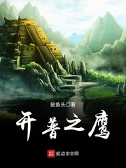 重生南非当警察封面