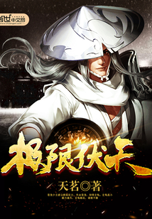 极限伏天封面